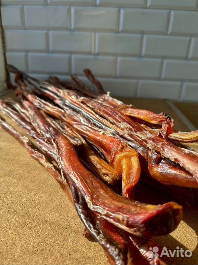 Бычий корень оптом