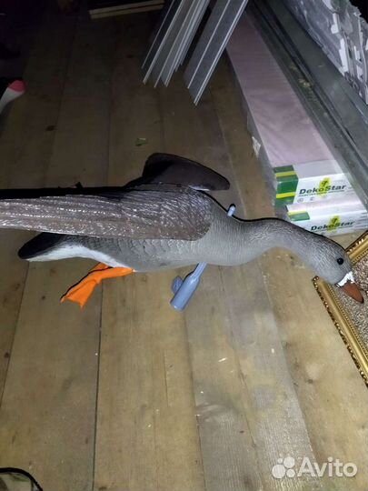 Чучело летящего белолобого гуся