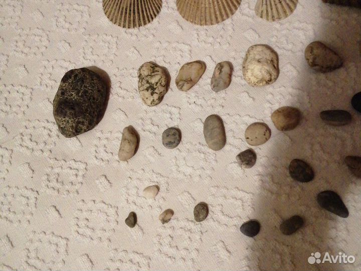 Ракушки и камушки для аквариума