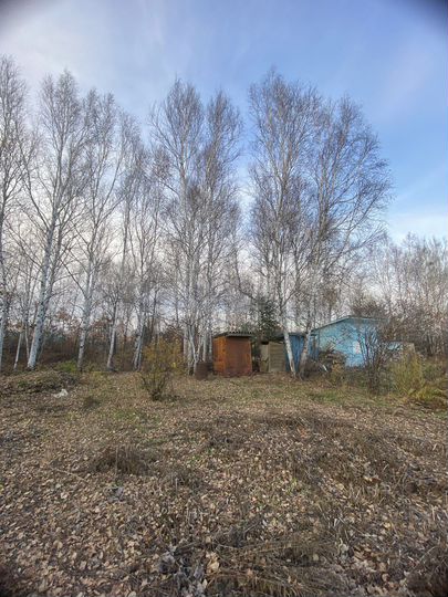 Участок 8 сот. (СНТ, ДНП)