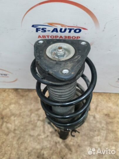 Амортизатор подвески передний левый Ford Focus 2