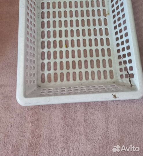 Ящик пластиковый для фруктов