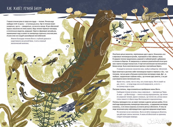 Волга: один год из жизни пресноводного биома
