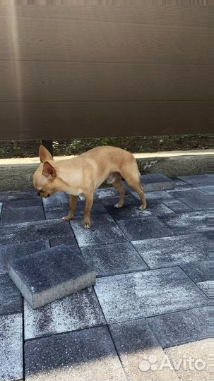 Брусчатка с доставкой заказ от 120 м2