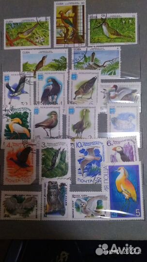 Коллекция марок XX век. 1