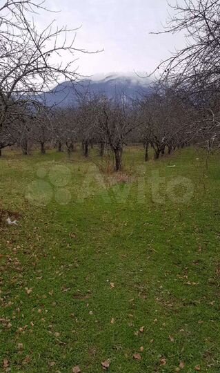 Участок 8,5 сот. (ИЖС)