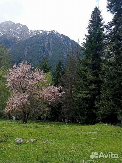 Индивидуальные экскурсии в горы из кмв