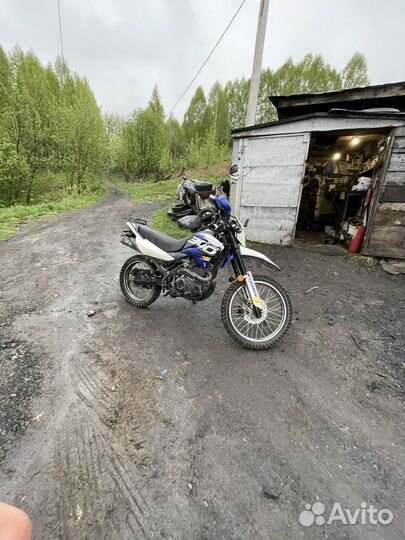 Рейсер пантера 300