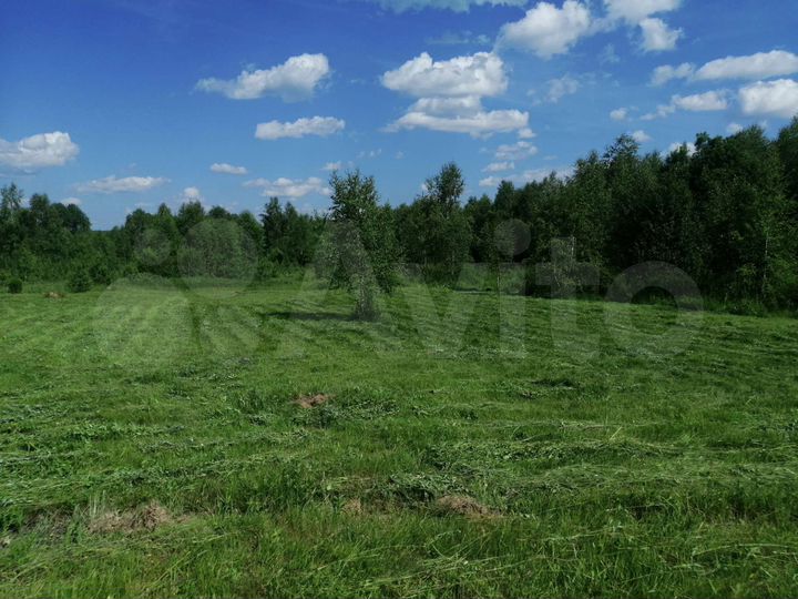 Участок 12 сот. (ИЖС)