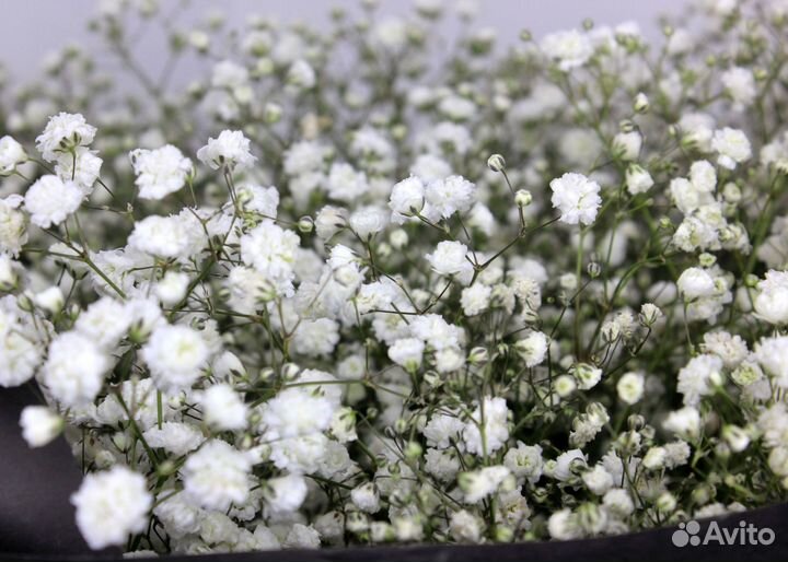 Срочная доставка цветов