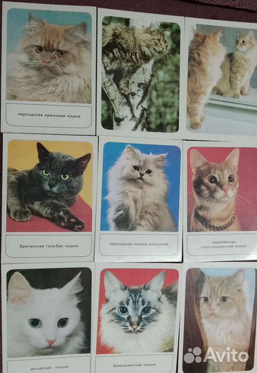 Открытки советские (СССР)