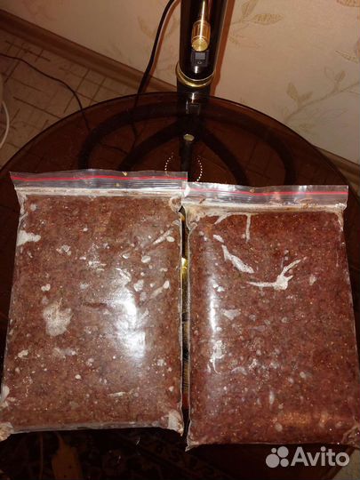 Мотыль Мелкий и Крупный, Артемия, Коретра