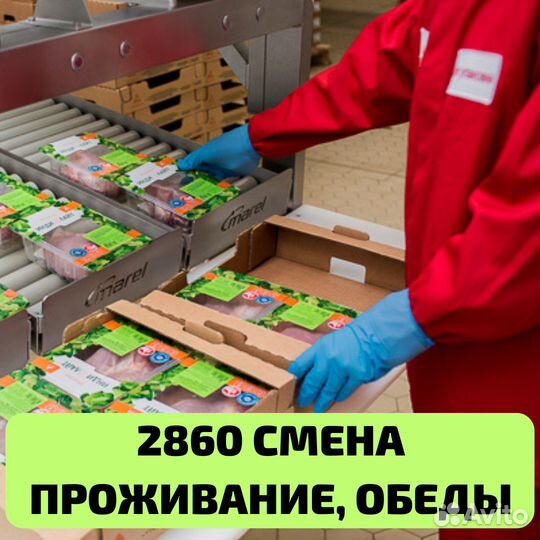 Выезд из Димитровграда, вахта упаковщик