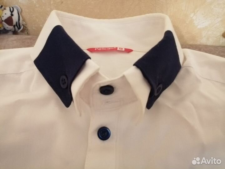 Рубашка pelican