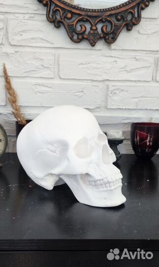Статуэтка гипсовый череп большой