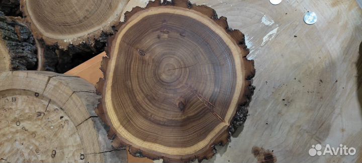 Спилы Вяза для декора стен
