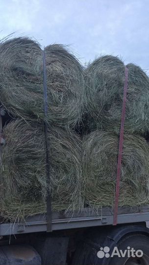 Сено с доставкой