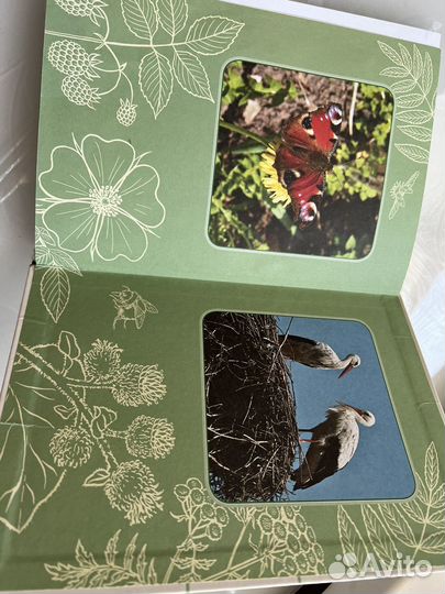 Атлас-определитель 