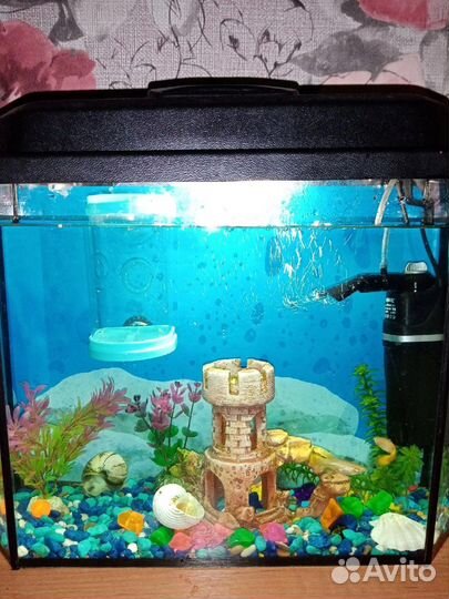 Аквариум с рыбками
