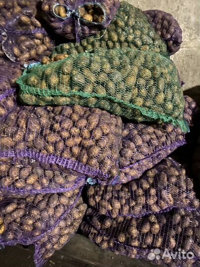 Картофель мелкий