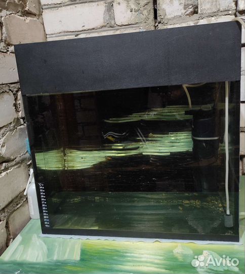 Аквариум