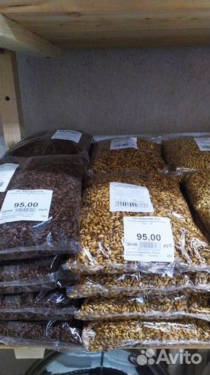 Солодовый пивной экстракт 