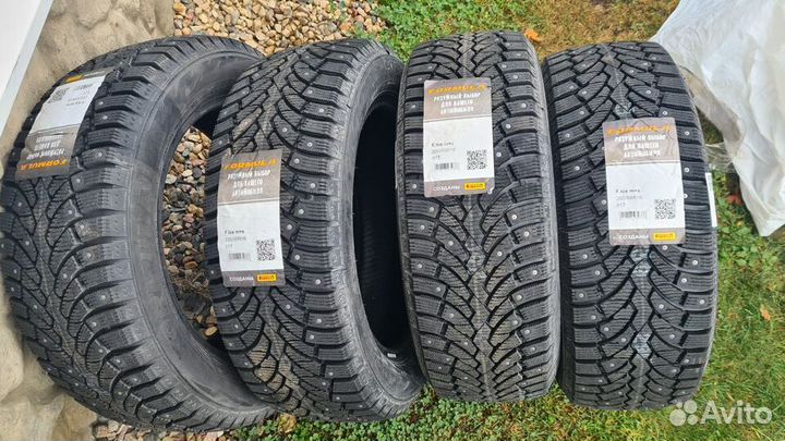 Formula Ice 205/55 R16 91T