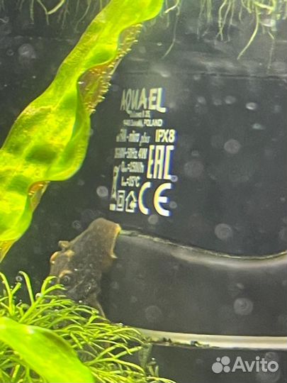 Аквариум под ключ