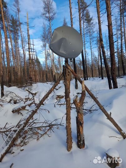 Интернет на сво