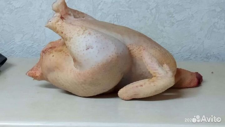 Куры бройлеры