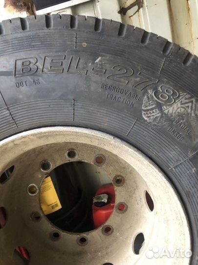 Belshina -278/158м