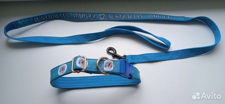 Ошейник с поводком