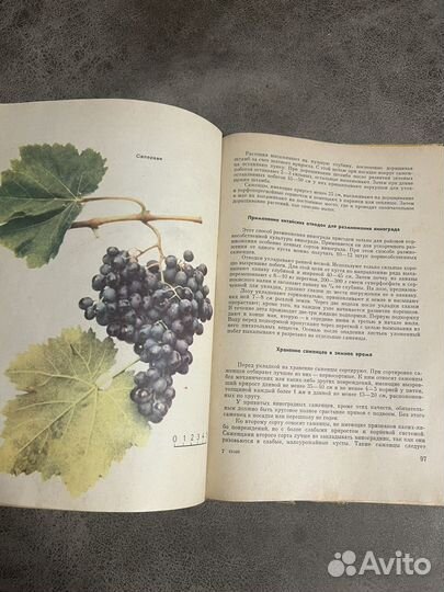 Настольная книга виноградаря СССР