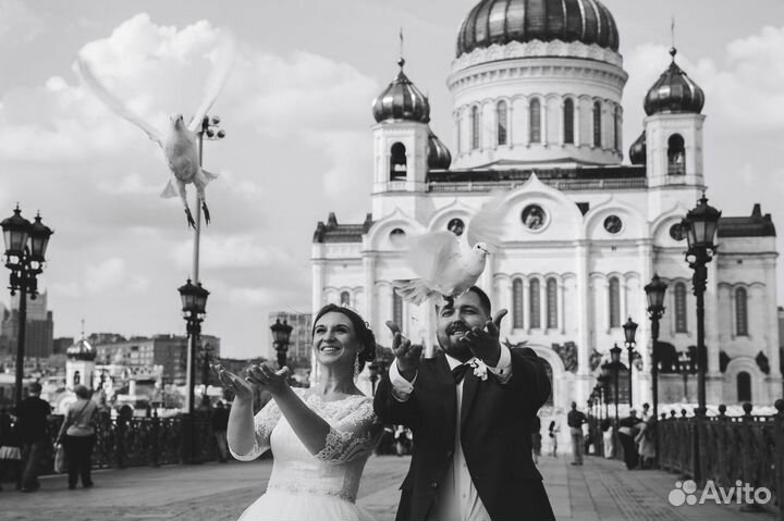 Фотограф Видеооператор на мероприятия