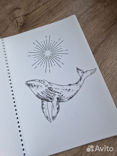 Модная раскраска антистесс