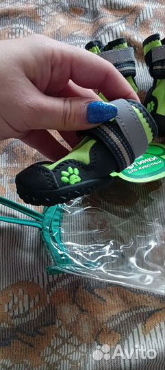 Ботинки для собак