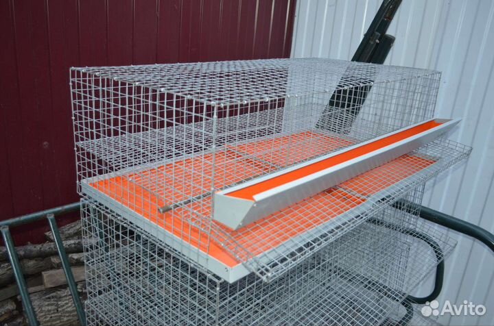 Клетки для перепелов