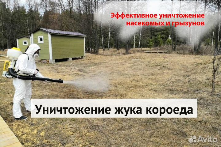 Уничтожение клопов тараканов грызунов блох плесени