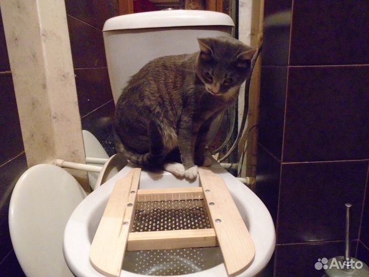 Лоток для кошки - накладка на унитаз