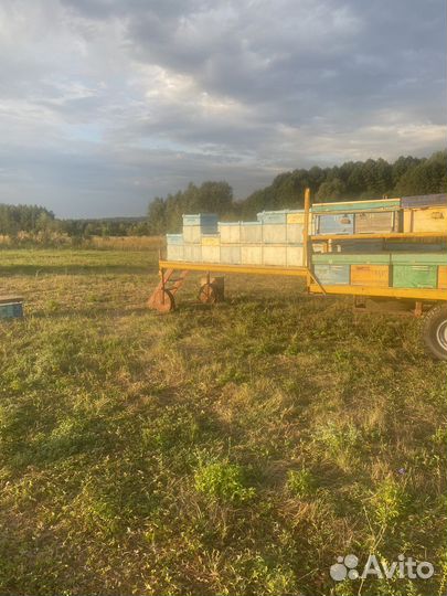Прицеп для перевозки пчел