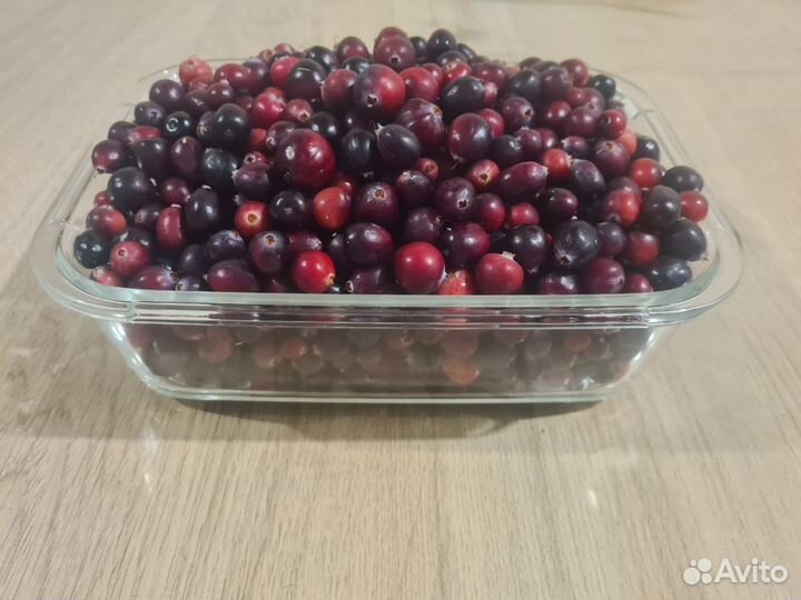 Клюква свежая