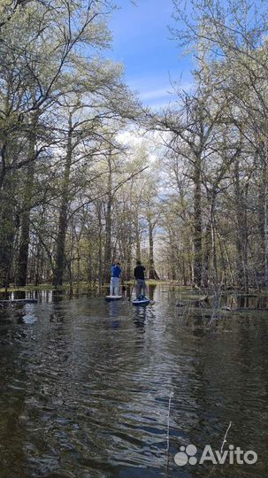 Прокат сапборд Sup доска Sup board сап доска