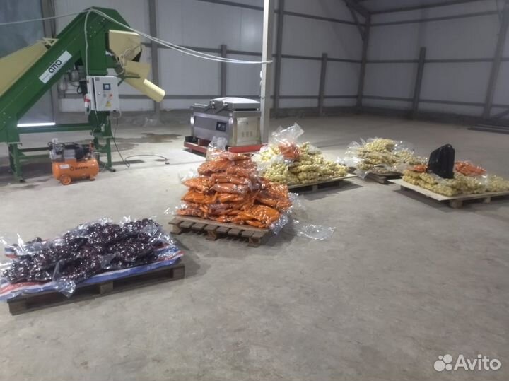 Комплексная линия обработки овощей