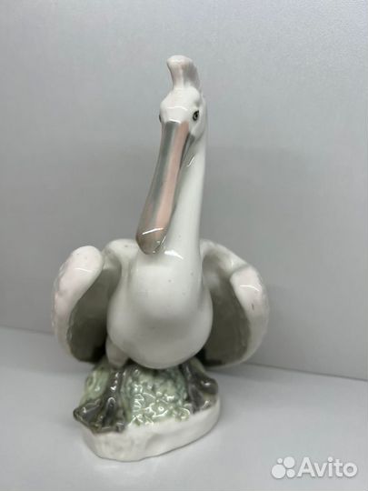 Птица Пеликан лфз