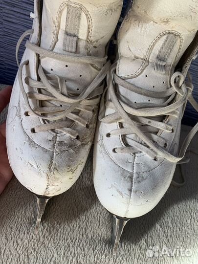 Коньки Risport Royal Elite 220