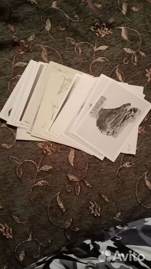 Альбом Эрьзя С.Д