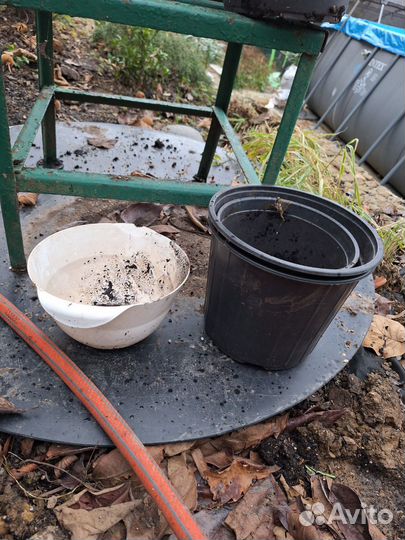 Кашпо для цветов бу