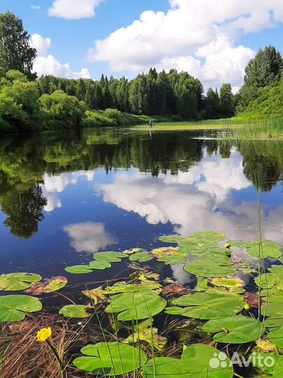 Эко туризм на севере России