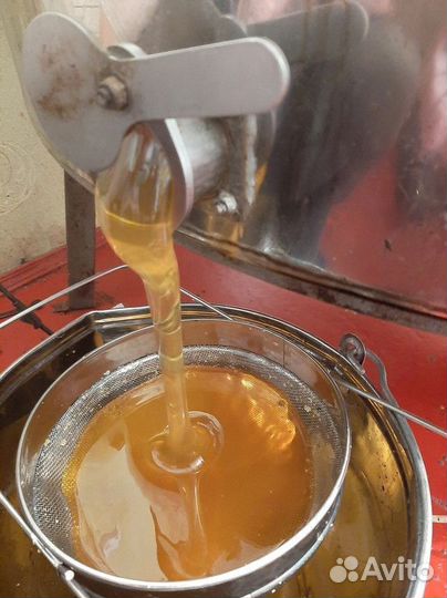 Разнотравье светлое мёд оптом Свежий