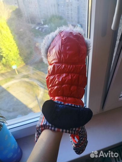 Комбинезон для собак мелких пород